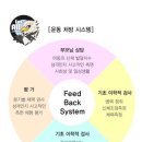 고려튼튼태권도 이미지