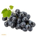 도시락더하기 이미지