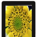 아아홀릭안경 이미지