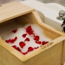 루틴펫살롱 이미지