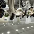 싱글싱글 이미지