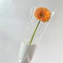 플라워아트 | 익산 어버이날 꽃집 추천 &#34;강혜선아트플라워&#39; N년째 단골 내돈내산 후기