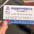 호미곶돌문어사업협동조합 이미지