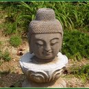달마공원 Daum카페