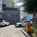 남천제방길 | W 18. 부산 드벨르마리에 본식 드레스 추가금공유 후기 가을신상 레이스 실크드레스