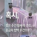 오렌지 크린 세탁소 이미지