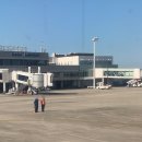 흑요석오리고기 | 진짜 특별한 여행후기 8) 사가현(佐賀県) 사가시(佐賀市)