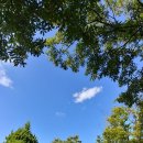 화랑유원지(중심광장) 이미지