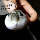 여수밤바다 펜션 이미지