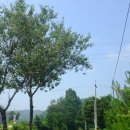 홀리데이캠프캠핑장 이미지