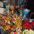 장약국 | 다낭 한시장 근처 약국 싼곳(바나나보트/비판텐/샤론파스/호랑이연고/모기기피제)