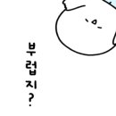 해리초밥 이미지
