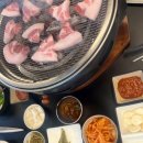 육공오