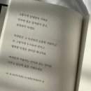 마이미마이