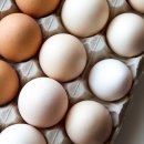 뇌졸중 극복+10kg 감량까지 가능하게 한 '특급 달걀' 만들기! 이미지