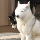 아리하우스 이미지