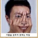 아잉독 애견카페 이미지