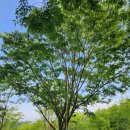 느티나무2농장 이미지