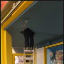 꽃피우다 이미지