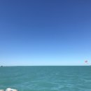 키웨스트 커피 이미지