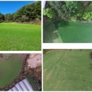 기형농장 이미지