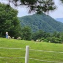 복합목장 이미지