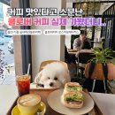 동백커피 | 클로버커피 용인 동백점 애견동반 후기 | 커피 맛 솔직평가 🐕☕