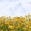 안동마애원두막펜션 이미지