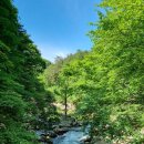 우산목장 이미지