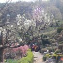 복숭아쉼터 이미지