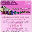 e-플랜트치과 이미지