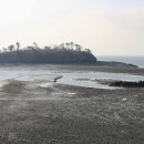 죽도대나무마을 영어조합법인 이미지