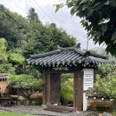 푸릇푸릇펜션 | 내돈내산 가평펜션추천 미분재 가평가족펜션 가평숙소 가평감성숙소 가평독채펜션추천 미분재