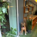 민 세탁소 | 치앙라이 -> 치앙마이 6일