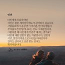 연민 이미지