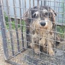 광덕3리 이미지