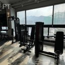 청춘 P.T 이미지