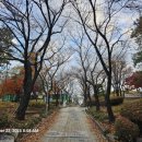 비둘기근린공원 이미지