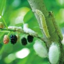 중앙개발(주) 이미지