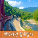 마트 백두대간 | 백두대간 협곡열차 완벽 가이드 V-Train