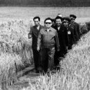 김정운농장 이미지