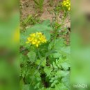 오봉산단3로 이미지