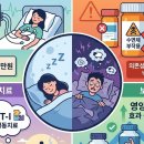 📌 수면제 4주 이상 먹으면 끊을 수 없습니다 이미지