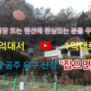 유구펜션 이미지