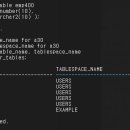 Re: 오늘의 마지막 문제: default permanent tablespace 를 users 에서 example... 이미지