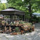 민들레울 이미지