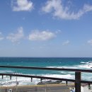 제주지인 게스트하우스 이미지