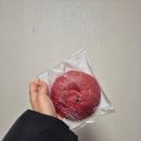 카와앤단팥빵
