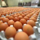 박완주농장 이미지