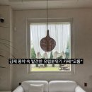 김제 카페 “오롬” 평야속 발견한 작은 유럽 분위기 카페에 취하다